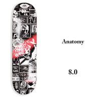 THEORIES DECK セオリーズ デッキ　8.0インチ Anatomy Skateboard Deck