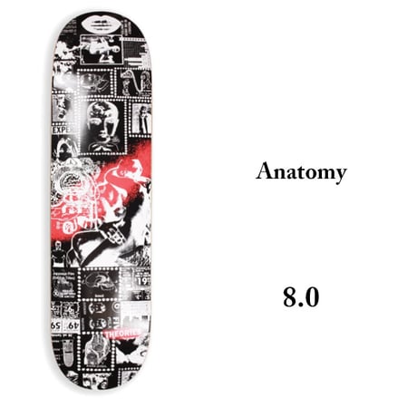 THEORIES DECK セオリーズ デッキ　8.0インチ Anatomy Skateboard Deck