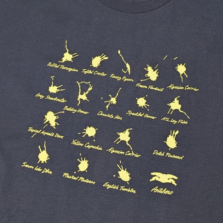 ANTIHERO SKATEBOARDS Tシャツ アンタイヒーロー 半袖　DAMN PIGEONS TEE (NAVY)