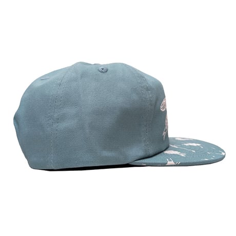 ANTIHERO SKATEBOARDS キャップ アンタイヒーロー　DAMN YOU BASIC EAGLE SNAPBACK CAP (BLUE / WHITE)