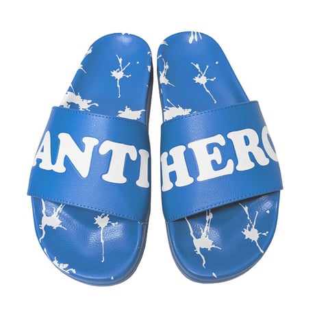 ANTIHERO SKATEBOARDS サンダル アンタイヒーロー　DAMN YOU SLIDE SANDAL （BLUE/WHITE）