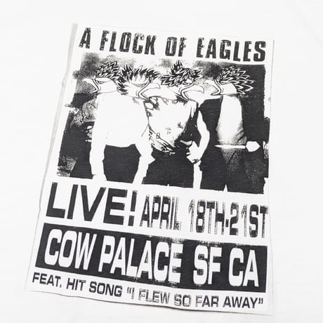 ANTIHERO SKATEBOARDS Tシャツ アンタイヒーロー 半袖　FLOCK OF EAGLES  S/S TEE （WHITE）