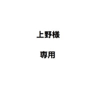 上野様専用