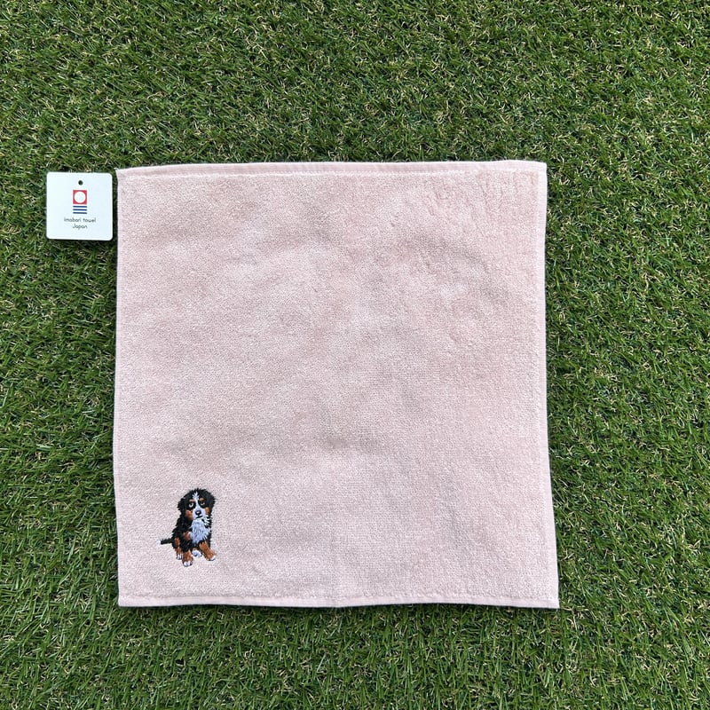 今治ハンドタオル ／バーニーズマウンテンドッグ刺繍入り【正式認定証