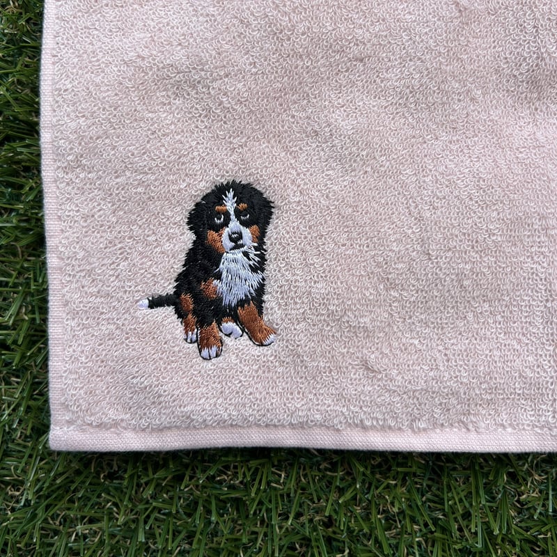 今治ハンドタオル ／バーニーズマウンテンドッグ刺繍入り【正式認定証