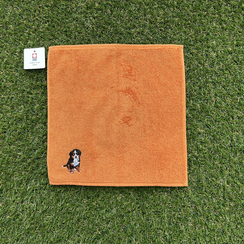 今治ハンドタオル ／バーニーズマウンテンドッグ刺繍入り【正式認定証