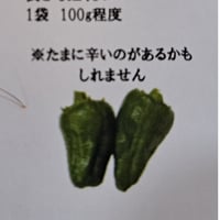 久保田農園いろんな唐辛子【パドロン】1P/100ｇ