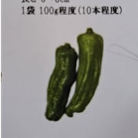 久保田農園いろんな唐辛子【ペペロンチ－ノ】1P/100ｇ10本程度