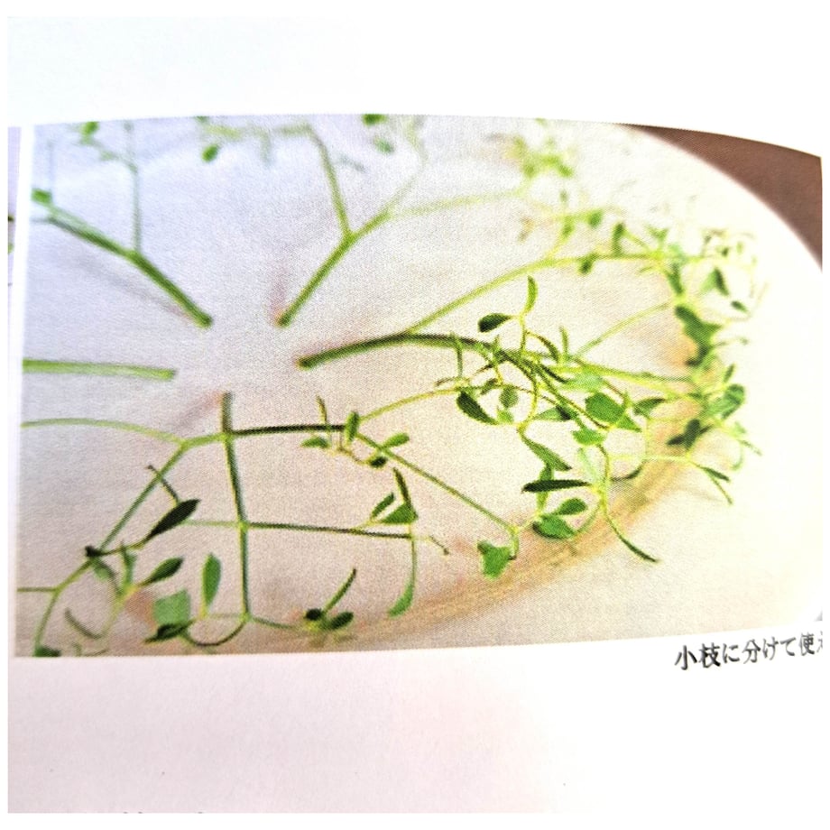 6ad2f4cd5cb7a1b1595db620