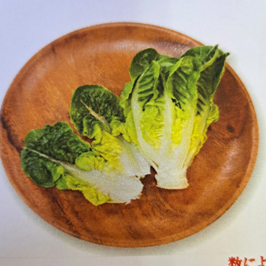 6ad2f812f74c19112c190c4d