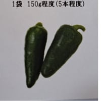 久保田農園いろんな唐辛子【ハラペ－ニョ】1P/150ｇ  （5本程度）