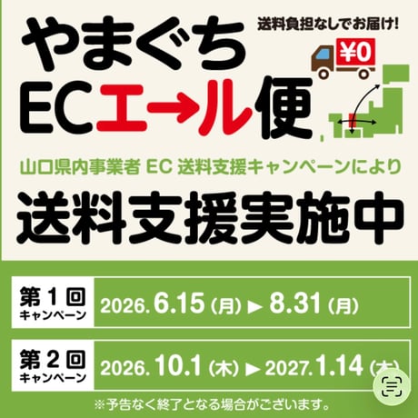 ■送料無料■【無農薬・化学肥料不使用】甘夏シロップ漬け＋竹の子ご飯の素