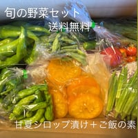 旬の野菜６〜８種セット＋甘夏シロップ＋竹の子ご飯の素【送料無料】