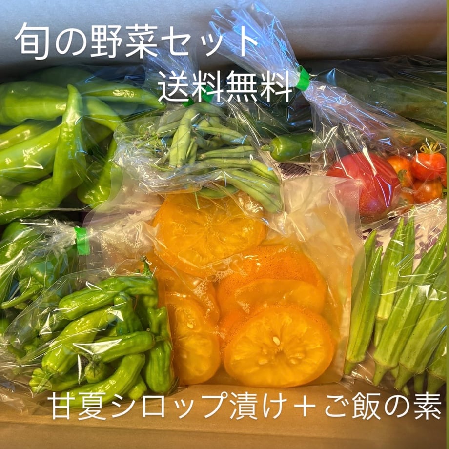 6a6ab891717c421786d25516
