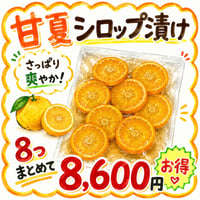■送料無料■【無農薬・化学肥料不使用】８つ甘夏シロップ漬け