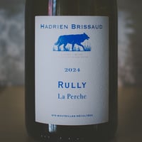 アドリアン・ブリソー "リュリー・ラ・ペルシュ" | Hadrien Brissaud "Rully La Perche" 2024
