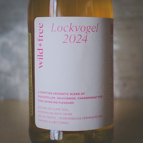 ヴェンツェル "ロックフォーゲル" | Wenzel "Lockvogel" 2024
