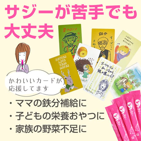 【単品】鉄分補給にちゅるっとサジー【4週間分】つめかえ簡易版