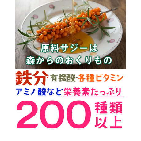 ちゅるっと食べるサジー【栄養おやつ】