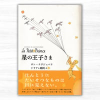 星の王子さま（皓星社）