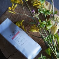 《秋から冬へ、3回の珈琲と花の便り》