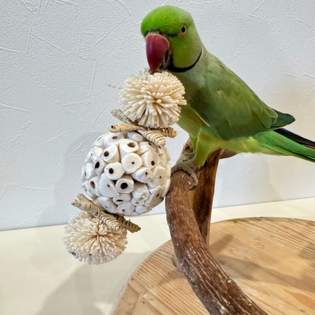 天然素材100% ソラボールのフットトイ【インコのおもちゃ ストレス発散】