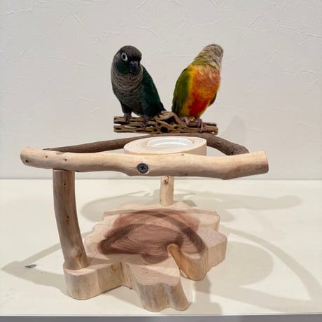 ツタとカクタスのおやつ入れ付きスタンドパーチ【インコ 止まり木 自然木】