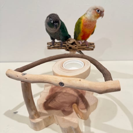 ツタとカクタスのおやつ入れ付きスタンドパーチ【インコ 止まり木 自然木】
