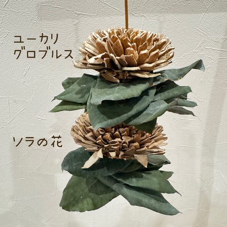 天然素材100% ユーカリグロブルスとガジガジフラワー【インコのおもちゃ ストレス発散】