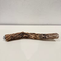 カクタスパーチ【K小】25cm 直径約3cm【サボテンの骨 バンブルフット予防 インコ 止まり木】
