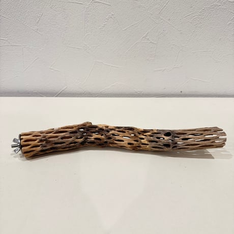 カクタスパーチ【K小】25cm 直径約3cm【サボテンの骨 バンブルフット予防 インコ 止まり木】