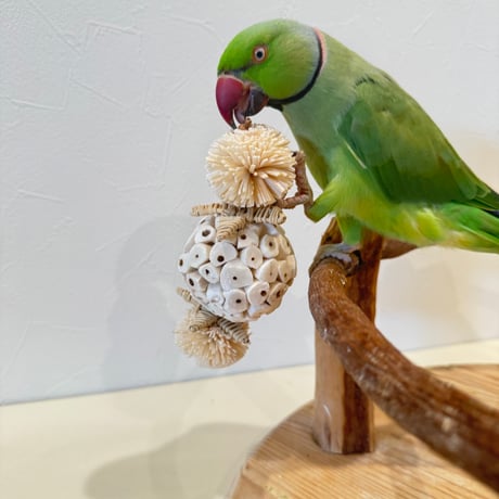 天然素材100% ソラボールのフットトイ【インコのおもちゃ ストレス発散】
