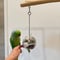 ころころ&つり下げ2WAYフォレイジングボールセット【インコのおもちゃ ストレス発散】