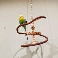 コトリのなる木ミニミニカスタム　ツタのつり下げバードアスレチック【文鳥 インコ 自然木 止まり木】