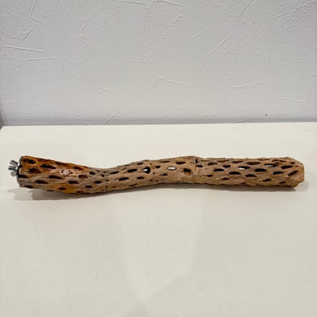 カクタスパーチ【D極小】 30cm 直径約2.5-3cm【サボテンの骨 バンブルフット予防 インコ 止まり木】