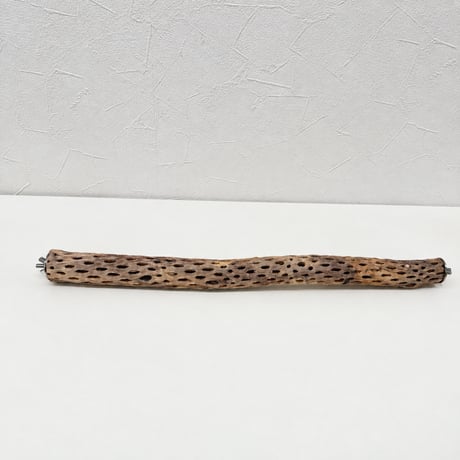 【surimiton様専用】カクタスパーチ両留め 長さ44cm/直径約3cm 【サボテンの骨 オカメインコ】