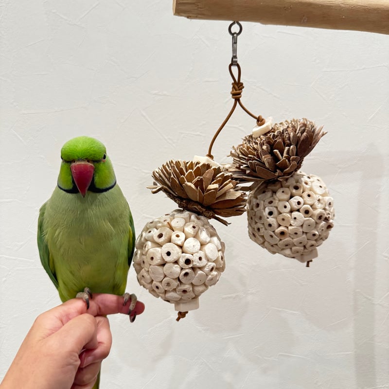 天然素材100% ソラボールぼんぼん 【インコのおもちゃ ストレス発散