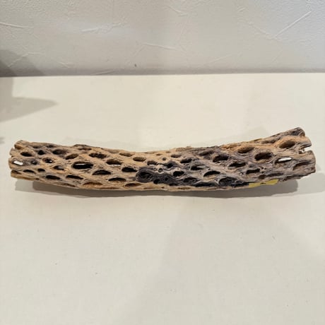 【juntamaru様専用】カクタスパーチ 直径約3-3.5cm 【サボテンの骨 バンブルフット予防 止まり木】