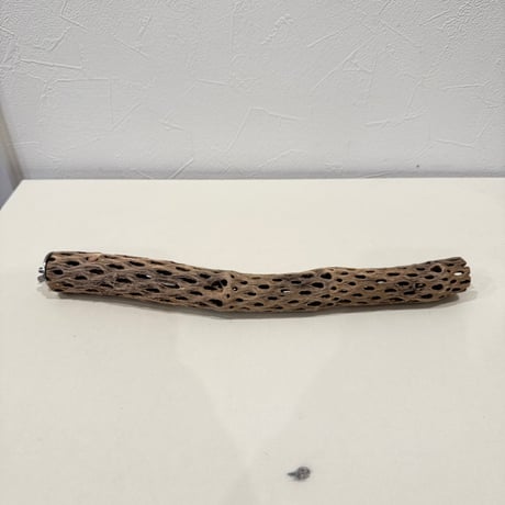 カクタスパーチ【A極小】 30cm 直径2.5-3cm【サボテンの骨 バンブルフット予防 インコ 止まり木】