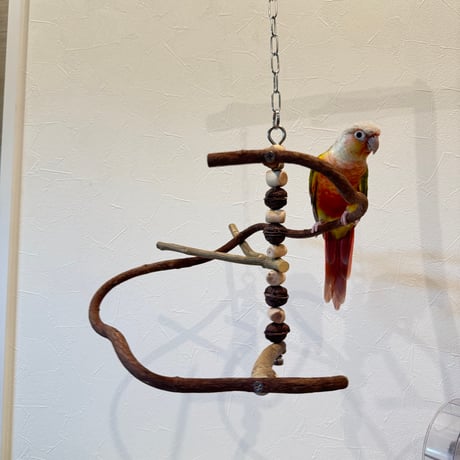 CATEGORY つり下げタイプ | 自然木の鳥用品 鳥豆堂【トリマメドウ