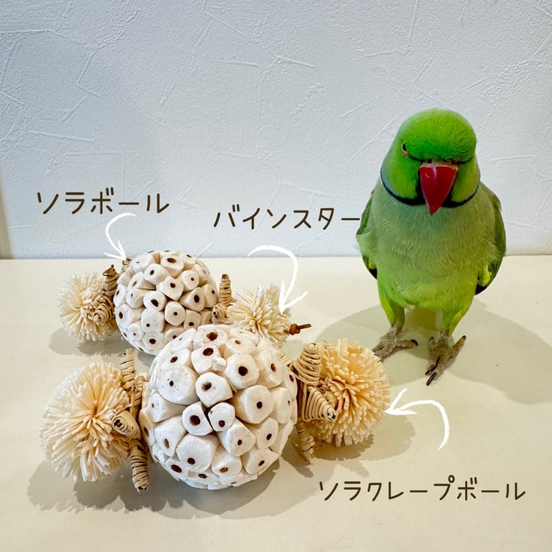 天然素材100% ソラボールのフットトイ【インコのおもちゃ ストレス発散