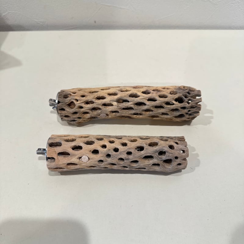 juntamaru様専用】カクタスパーチ 直径約3-3.5cm 【サボテンの骨