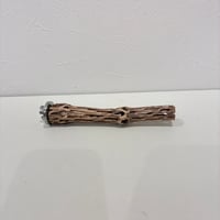 カクタスパーチ極小サイズ① 直径約2cm/長さ15cm【自然木 止まり木 バンブルフット 趾瘤症 】