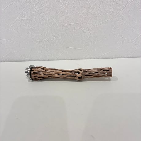 自然木の鳥用品 鳥豆堂【トリマメドウ】バードアスレチック・カクタス