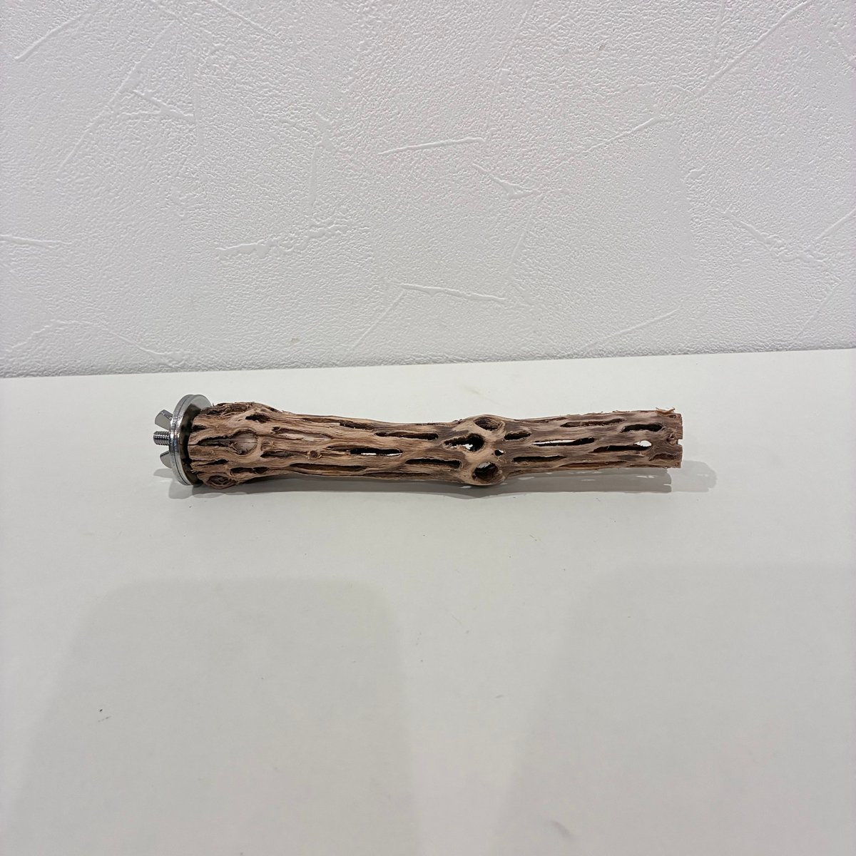 カクタスパーチ極小サイズ① 直径約2cm/長さ15cm【自然木 止まり木
