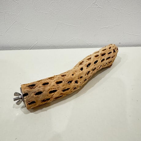 カクタスパーチ【L小】23cm 直径約4cm【サボテンの骨 バンブルフット予防 インコ 止まり木】