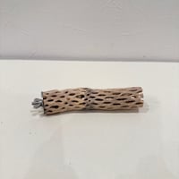 カクタスパーチ【⑱極小】15cm 直径約2.5-3cm【サボテンの骨 バンブルフット予防 インコ 止まり木】