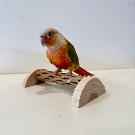 自然木の鳥用品 鳥豆堂【トリマメドウ】バードアスレチック・カクタス