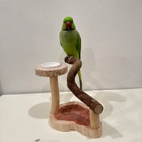 おやつ入れ付きツタのスタンドパーチ【自然木 インコ 止まり木】