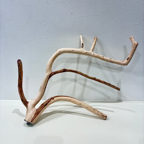 【yuji_sota様専用】ツタパーチ（自然木ツタ）各種・カイヅカのピノキオの鼻